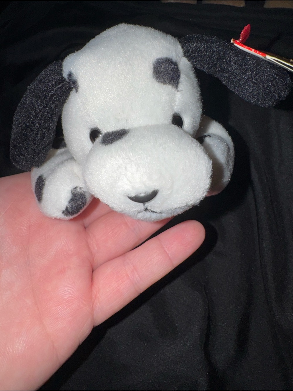 1996 Ty Black and White Dalmatian Puppy Plush (Dotty)
